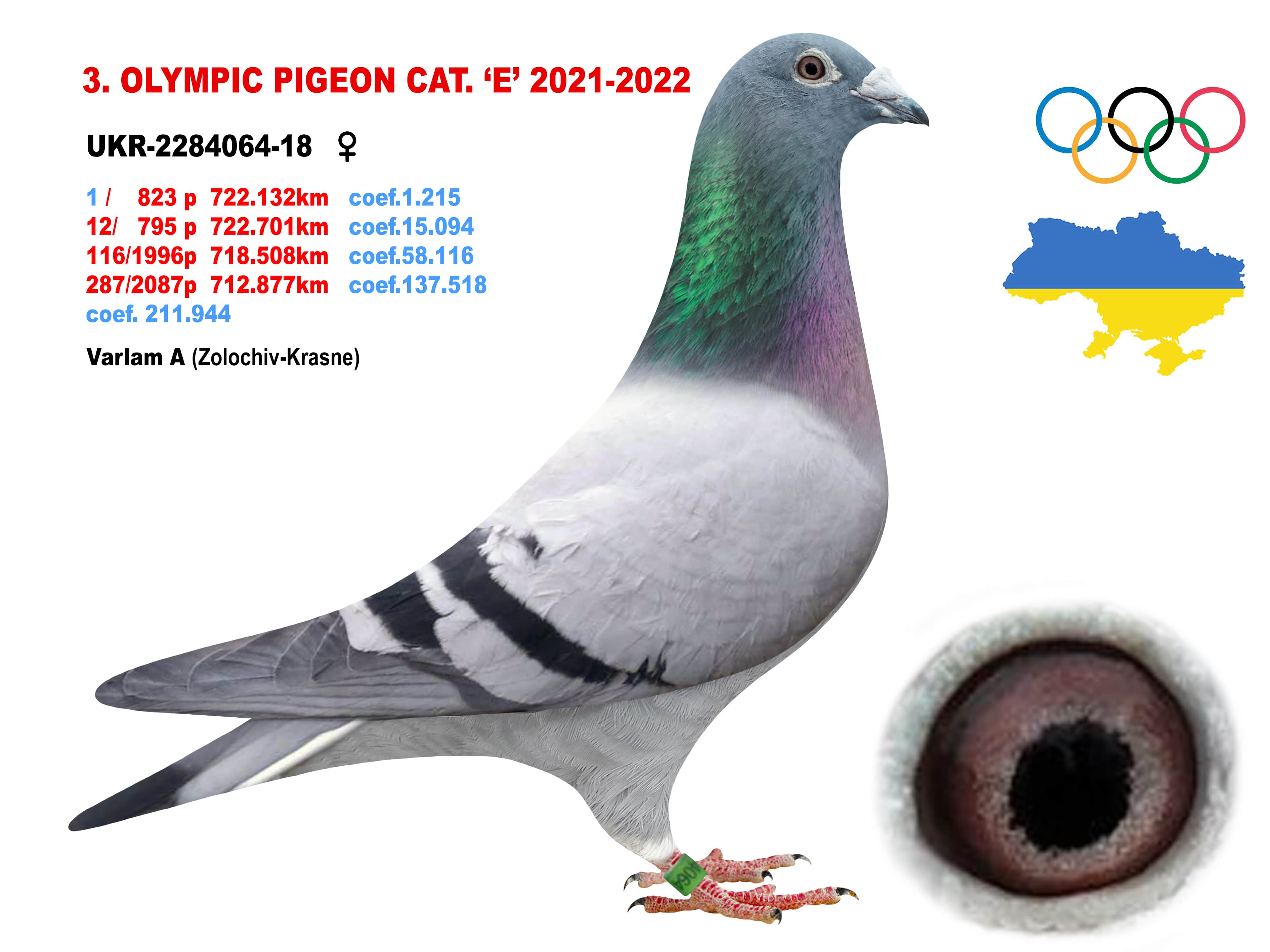 2022-E3